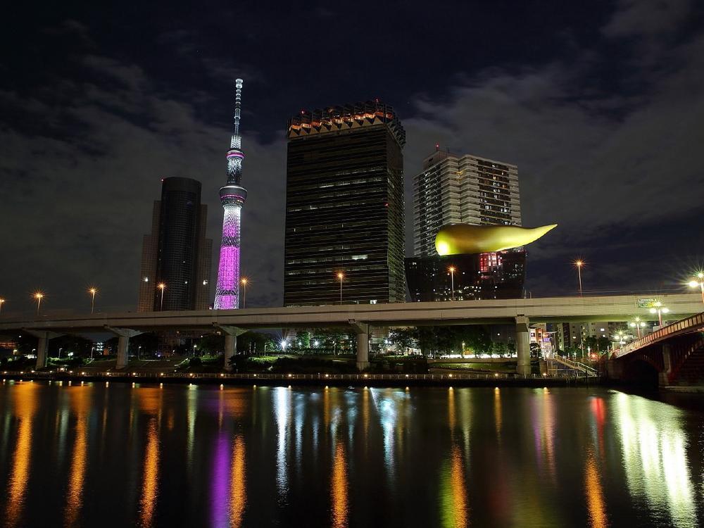 Other. Vice downtown Tokyo (Kinshicho ・ Worthy of the name of the Kameido area), Including the enhancement of large-scale shopping facility, Town with a variety of convenience and charm ・ The goodness of Kinshicho unique, It is the location that you can enjoy to the full extent.