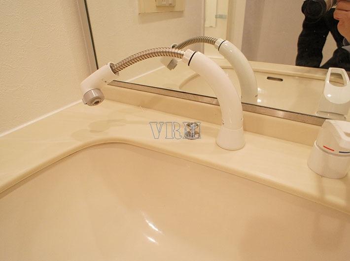 Other Equipment. Vanity with a shower head