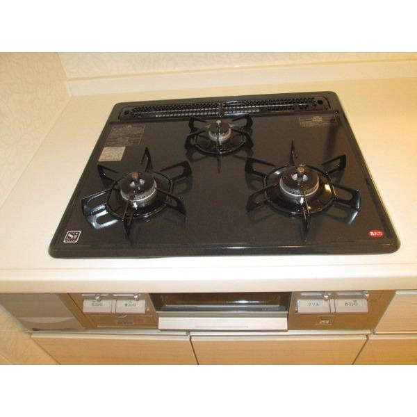 Kitchen. Stove burner