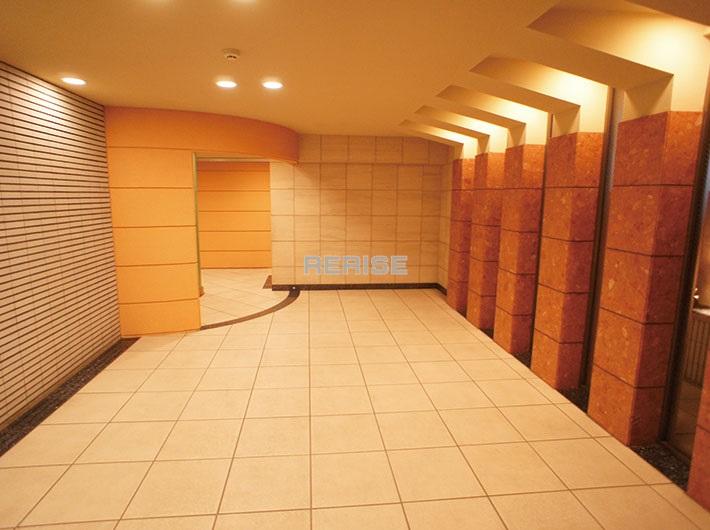 Entrance. Indirect lighting is fashionable entrance