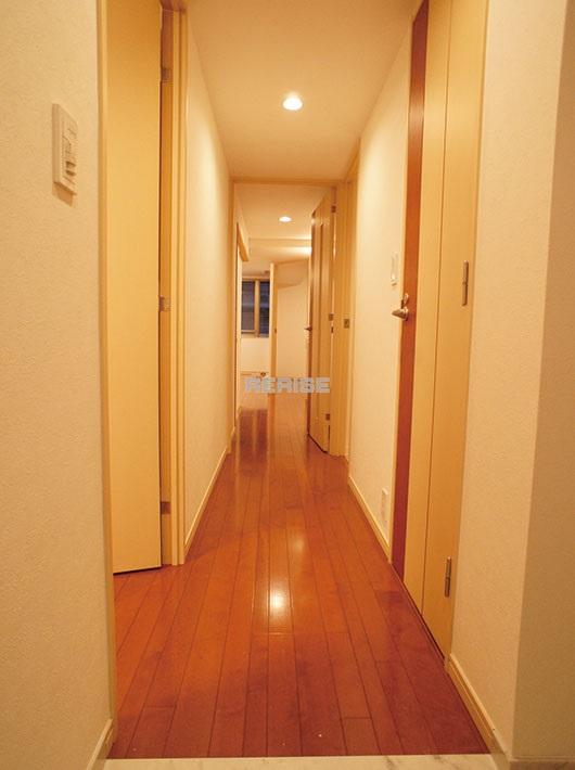 Other introspection. Indoor corridor