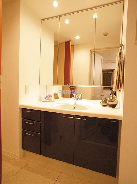 Wash basin, toilet. Bathroom vanity