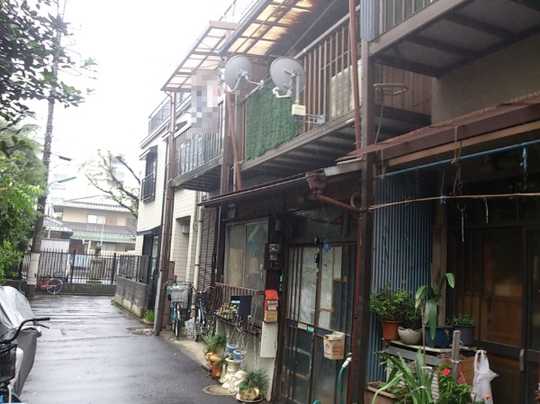 Local land photo. appearance