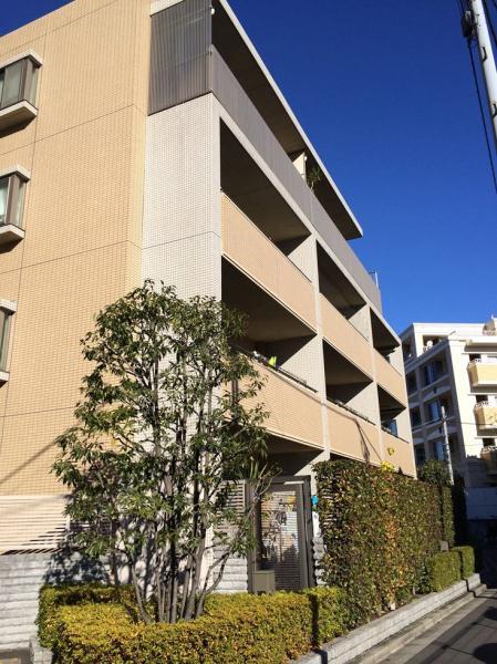 Local appearance photo. appearance / December 2013 shooting