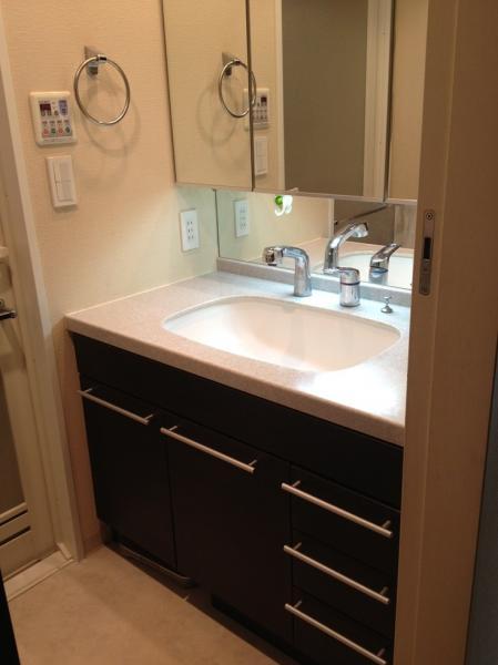 Wash basin, toilet. Wash / December 2013 shooting