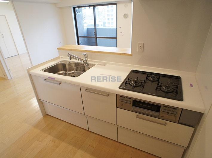 Kitchen. Popular counter kitchen