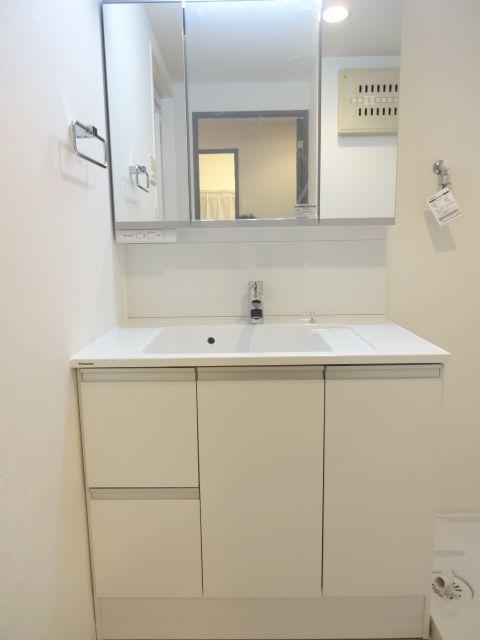 Wash basin, toilet. Bathroom vanity