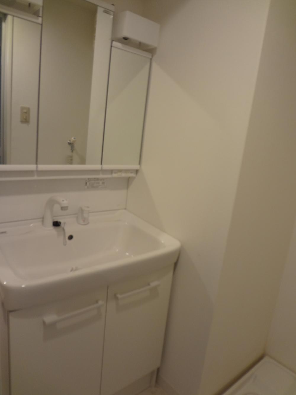 Wash basin, toilet. Bathroom vanity 2013 October exchange