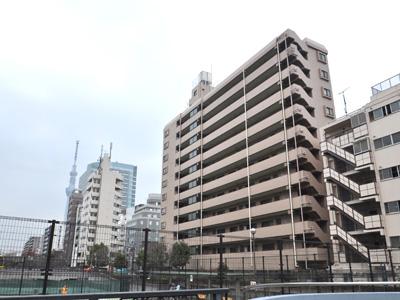 Sumida-ku, Tokyo Koto Bridge 1