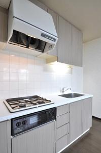 Sumida-ku, Tokyo Koto Bridge 1