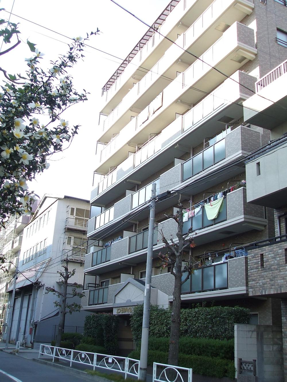 Local appearance photo. Local (11 May 2013) Shooting