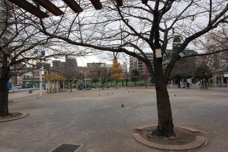 Other. Midoricho park