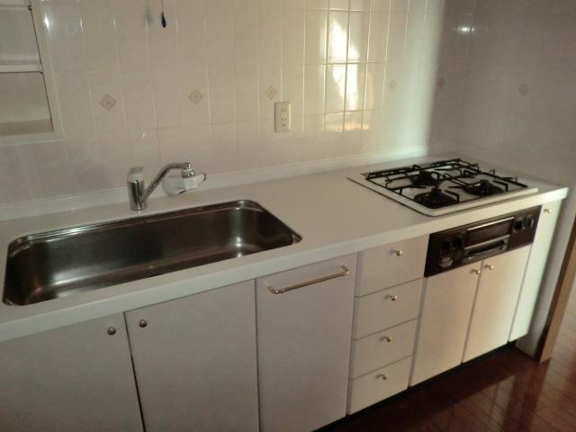 Kitchen. Indoor (11 May 2013) Shooting