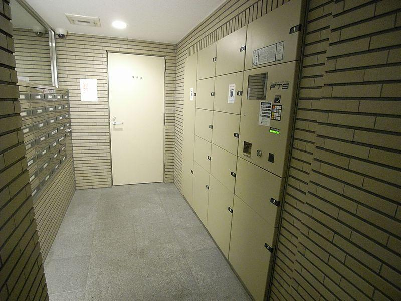 Entrance. Delivery Box