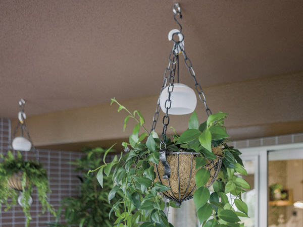 balcony ・ terrace ・ Private garden.  [Balcony hook] Balconies top, Or to secure the net for green curtain, We have established a hook that can be hung the pot in the standard. (When hanging things on the hook, Please pay attention to safety. Also, When the installation is, Please pay attention to the fall. ) (Model Room A type) ※ Sale already