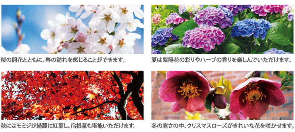 Features of the building.  [Planting design] Planted 栽計 picture of the apartment outside 構部 is, Space design team "parkERs" is in charge of Aoyama Flower Market. (An example of a planted planting)