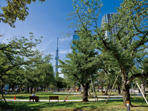 Surrounding environment. Tinsel park (about 1220m / 16-minute walk)