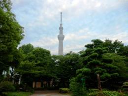Other.  [Sumida Park] Lush Sumida Park. Is a living environment that you can enjoy the healing nature.