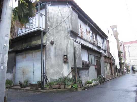 Local land photo. Appearance 1