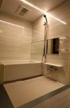 Rendering (introspection). With bathroom dryer