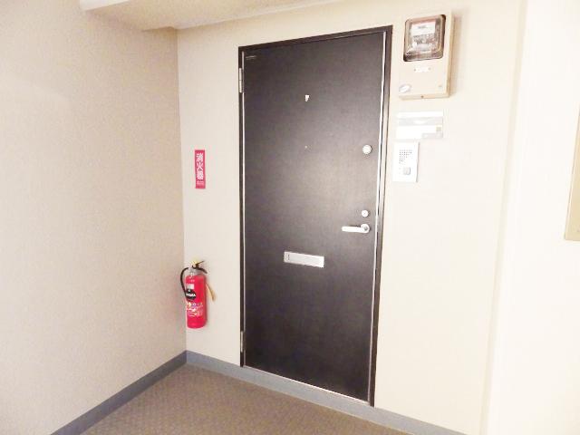 Other common areas. Entrance door