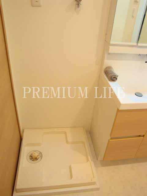 Wash basin, toilet. Laundry Area