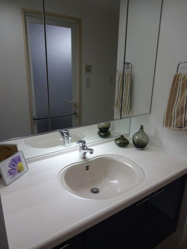 Wash basin, toilet. Bathroom vanity