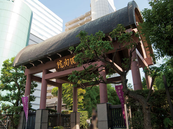 Surrounding environment. Eko Institute (6-minute walk / About 430m)