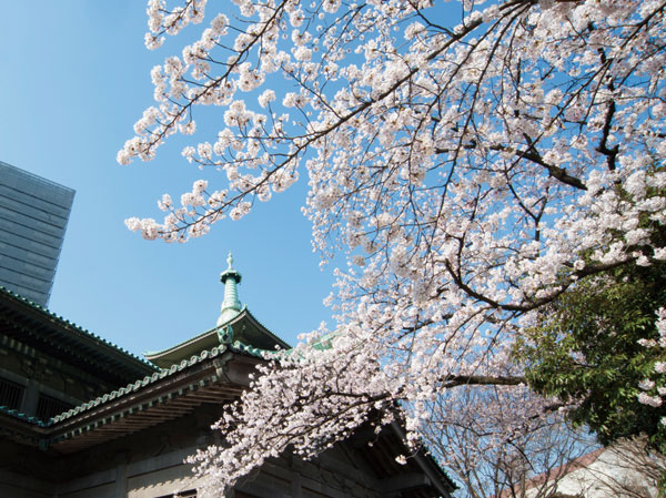 Surrounding environment. Yokoamicho Park (8-minute walk / About 630m)