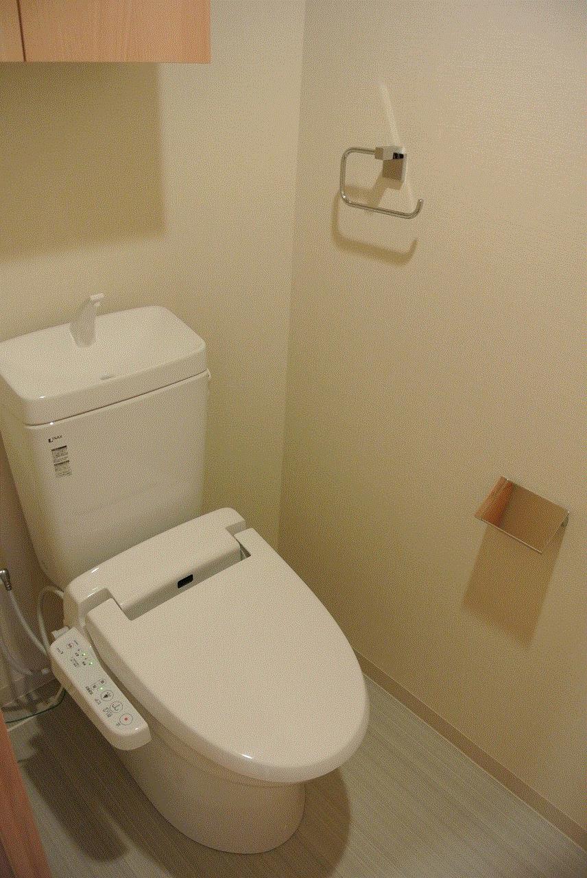 Toilet. Washlet toilet