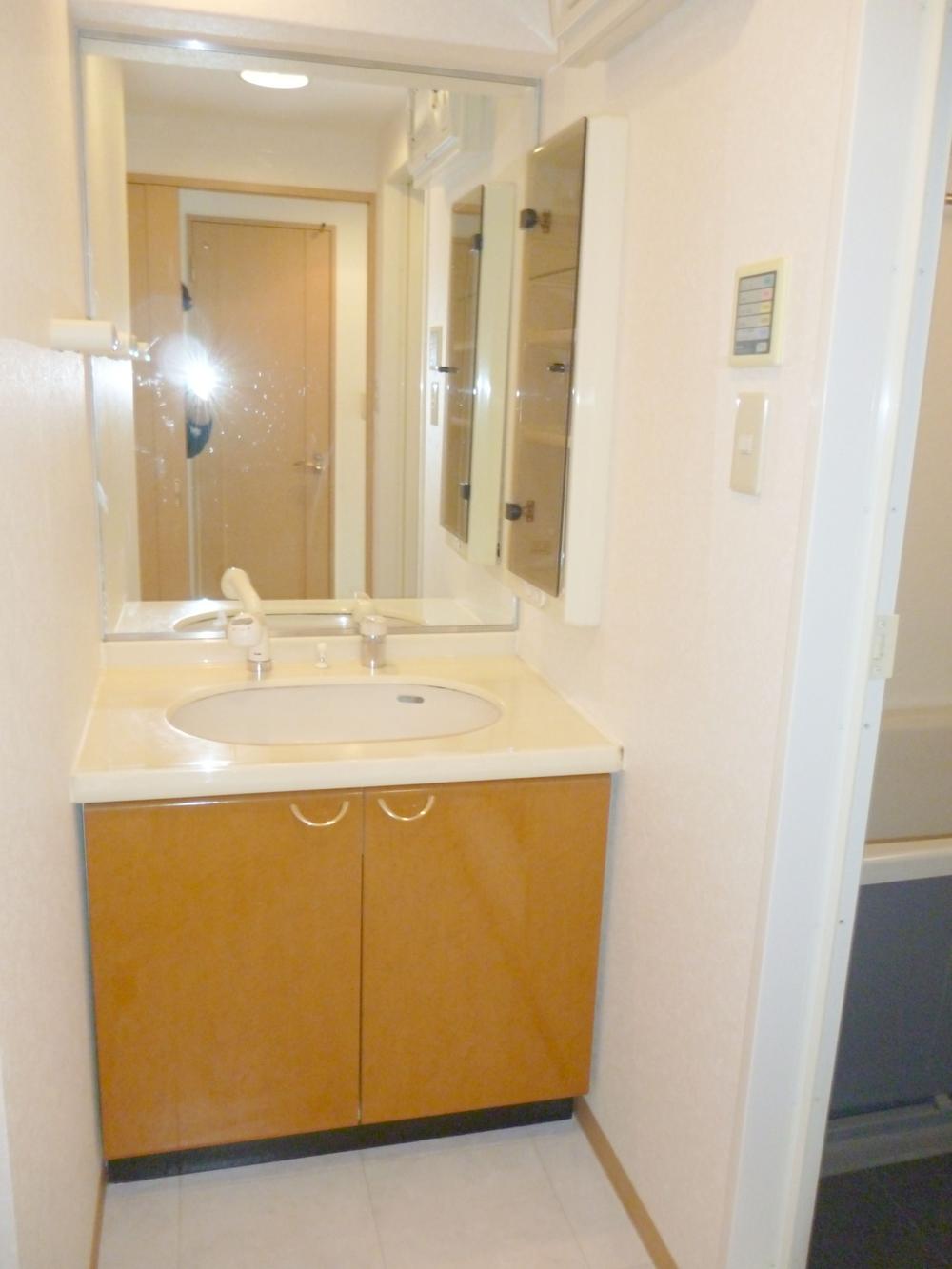 Wash basin, toilet. Bathroom vanity