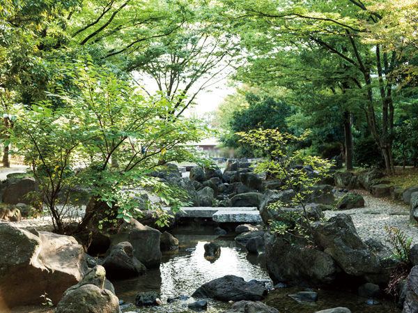 Surrounding environment. Large-scale commercial facilities are enriched in the surrounding area Kinshichō Station. While familiar a variety of convenience, Local peripheral can obtain the tranquility away from the hustle and bustle of commercial facilities and highway, It spreads a rich living environment that was blessed with green trees, such as a park. (Photo 2-minute large Yokogawa water park walk)