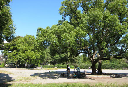 Surrounding environment.  [Sumida Park] Park spread along the Sumida River, Of course, a is of the attractions of the cherry blossoms, Hydrangea early summer, Autumn amaryllis, Winter and plum, We can all year round admire the flowers. Riverside Sports Center in the park, Marathon Course, baseball Ground, There is such as athletic playground equipment, You can also enjoy sports. (About 800m / A 10-minute walk)