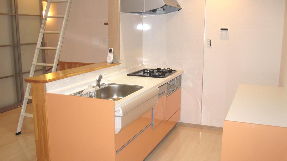 Kitchen. Indoor (12 May 2013) Shooting