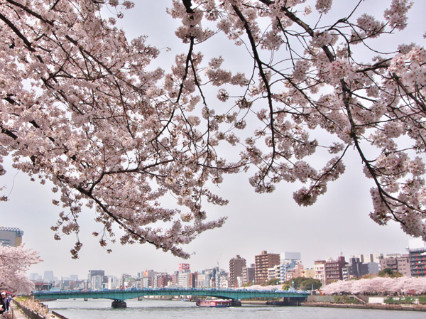 Surrounding environment. Sumida River (House-A: a 5-minute walk ・ About 400m, House-B: 6-minute walk ・ About 420m)