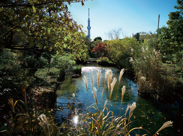 Surrounding environment. Mukojima hundred Garden (House-A: 7 minutes walk ・ About 500m, House-B: 7 minutes walk ・ About 540m)