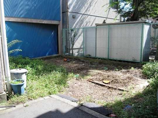 Local land photo. Site (1)