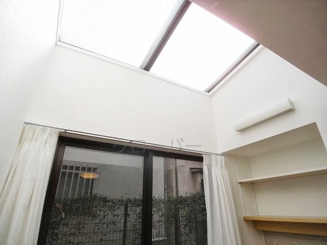Living. Skylight