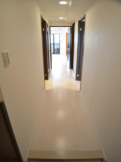 Other introspection. Corridor part