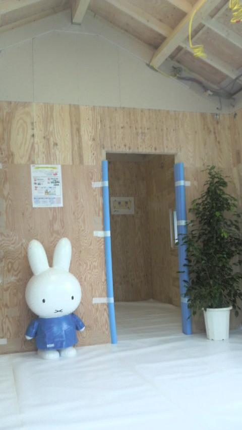 Living. Ceiling height, Highest 3m Room (May 2012) shooting