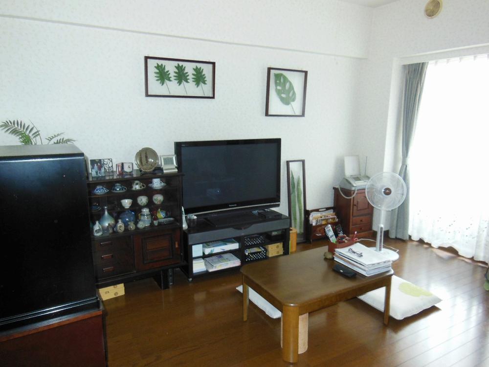 Living. Indoor (July 2013) Shooting