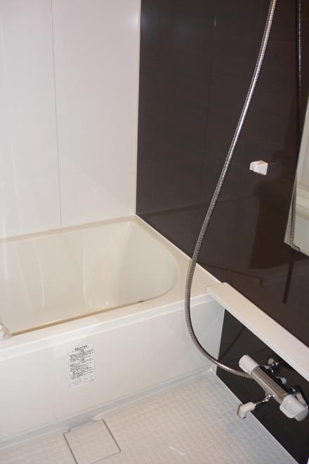 Bathroom. Bathroom to heal fatigue of the day