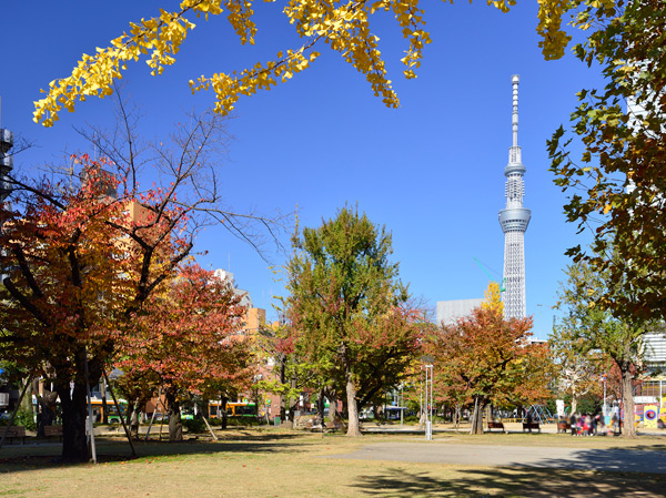 Surrounding environment. Tinsel park (about 710m ・ A 9-minute walk)