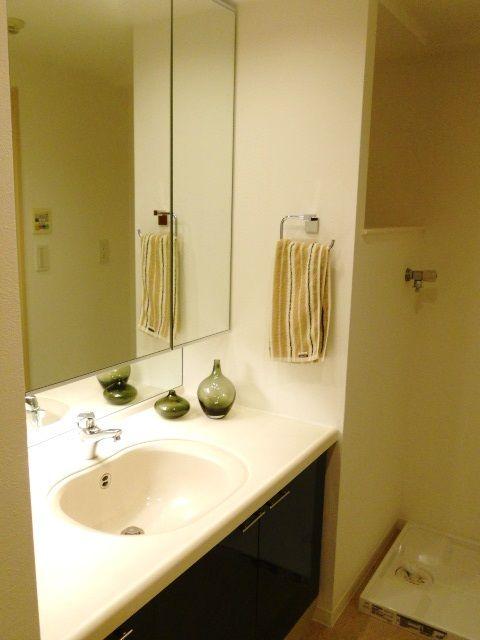 Wash basin, toilet. Bathroom vanity