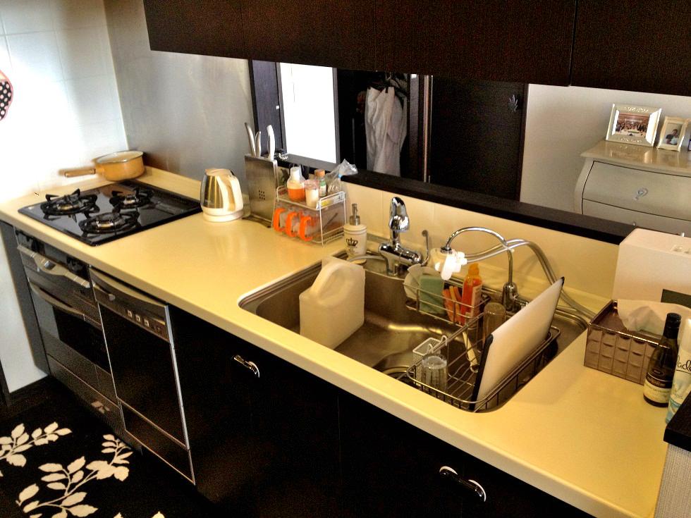 Kitchen. Indoor (May 24, 2013) Shooting