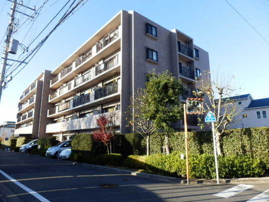 Local appearance photo