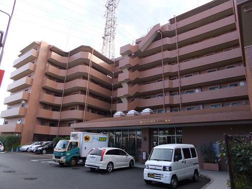 Local appearance photo. Local (January 2013) Shooting