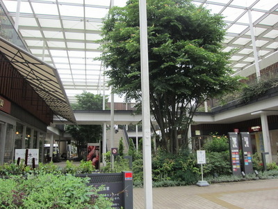 Shopping centre. Zelkova 510m until the mall (shopping center)