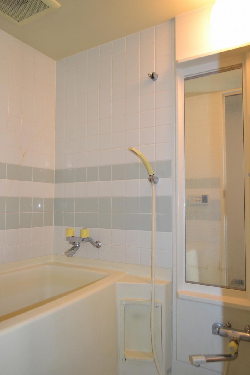 Bathroom. Indoor (12 May 2013) Shooting