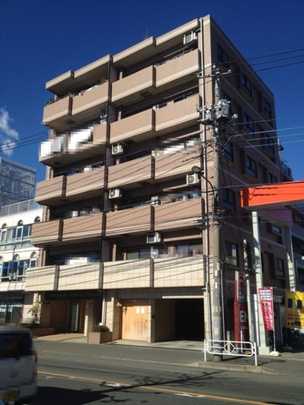 Local appearance photo. Mansion appearance (1)